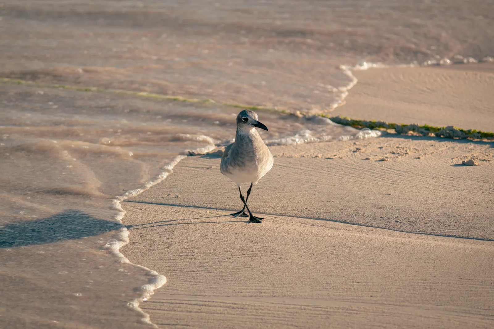 nature photography by JRMGraphy